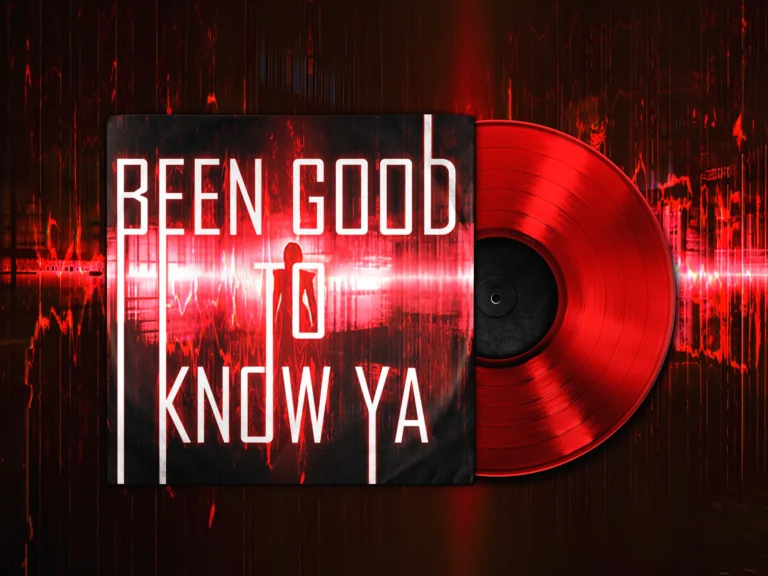 Been Good To Know Ya Vinyl 1
